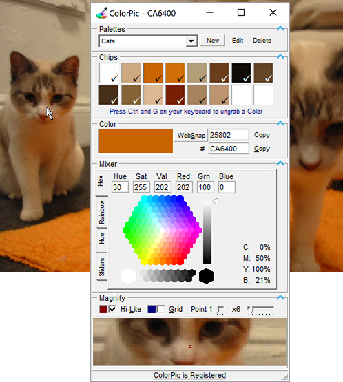ColorPic, Picker, palettes, Chip, color, magnifier, colour, colorpicker, hue, saturation, red, green, blue, screen