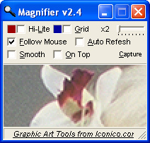 Iconico Screen Magnifier